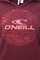 Preview: O'Neill - Circle Logo Sweat