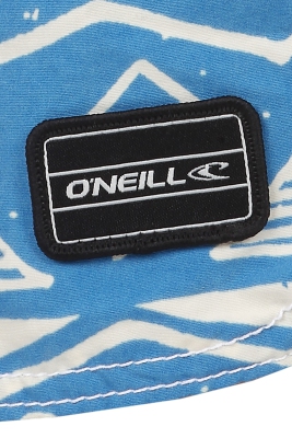O'Neill - Thirst for Surf Shorts