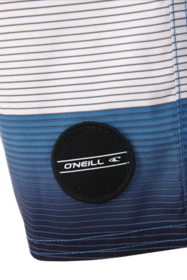 O'Neill - Santa Cruz Stripe Boardshorts