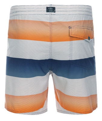 O'Neill - Santa Cruz Stripe Shorts