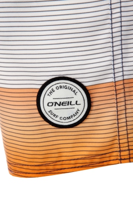 O'Neill - Santa Cruz Stripe Shorts