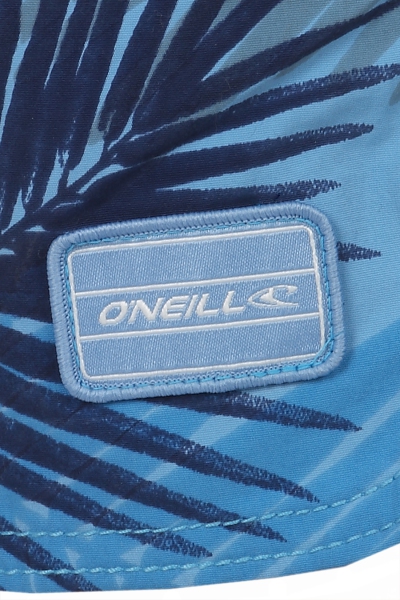 O'Neill - Thirst for Surf Shorts